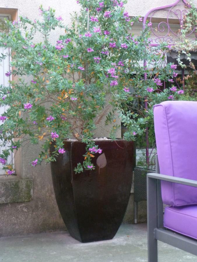 Bed and Breakfast La Pergola Châteauneuf-du-Pape Exterior foto